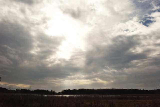 [DSC_0178 copy2[4].jpg]